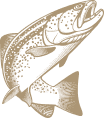 fish illustration